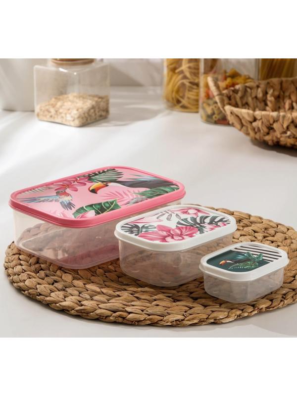 Набор контейнеров пищевых Доляна «Тропики», 3 шт: 150 мл, 500 мл, 1,2 л, прямоугольные
