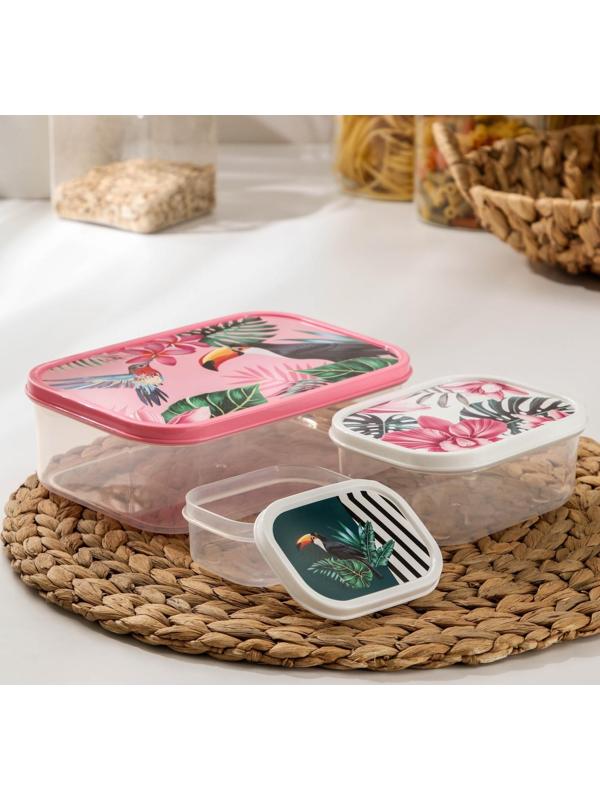 Набор контейнеров пищевых Доляна «Тропики», 3 шт: 150 мл, 500 мл, 1,2 л, прямоугольные