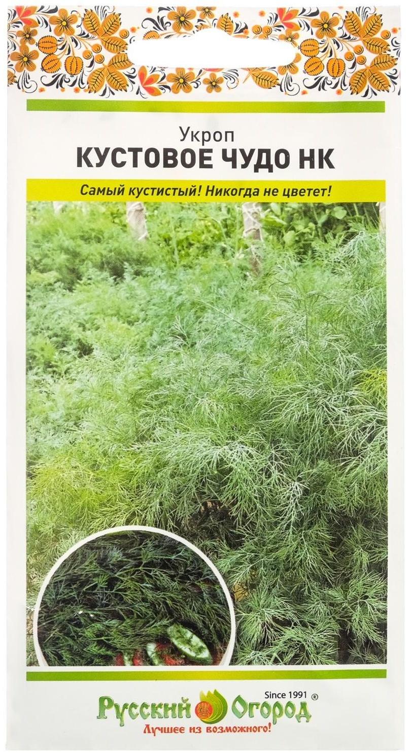 Семена Укроп 