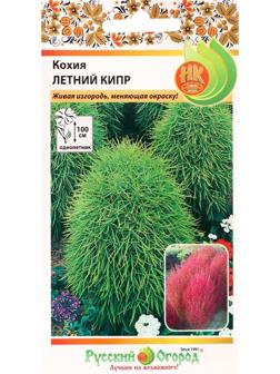 Семена цветов Кохия 