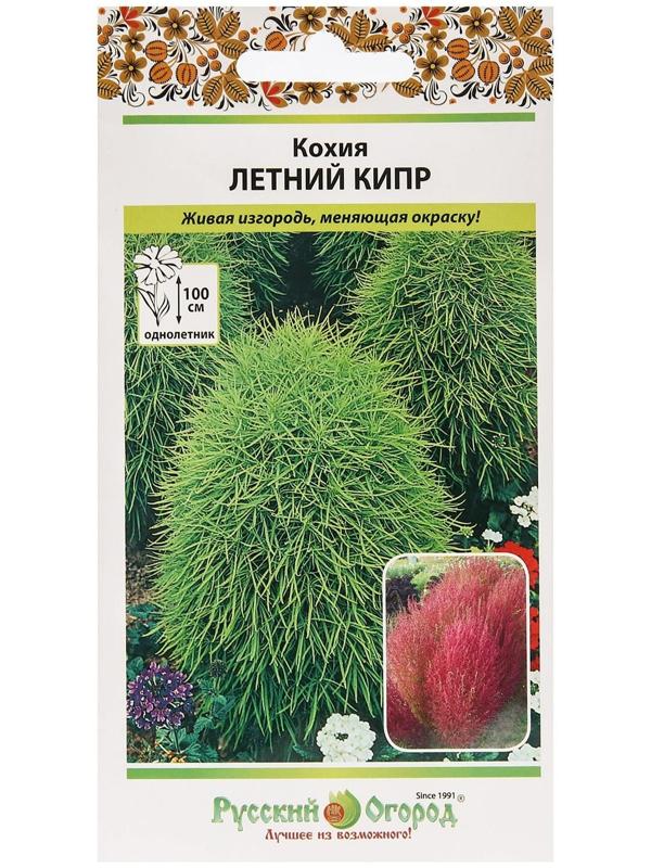 Семена цветов Кохия 