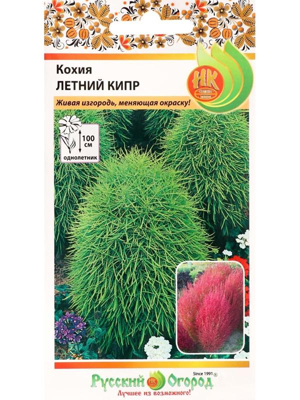 Семена цветов Кохия 