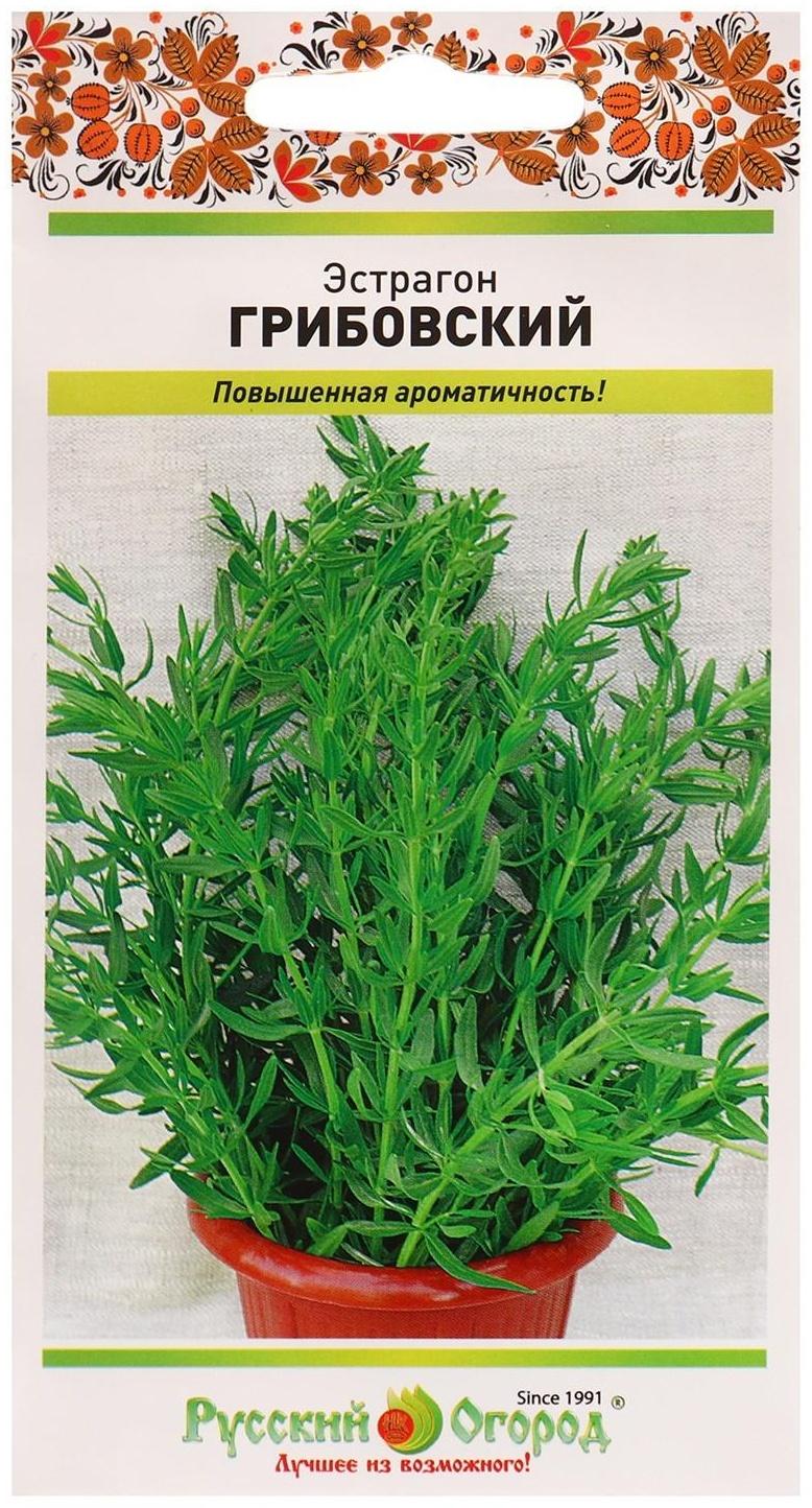 Семена Эстрагон 