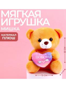 Мягкая игрушка «Моя любовь», 22 см., МИКС