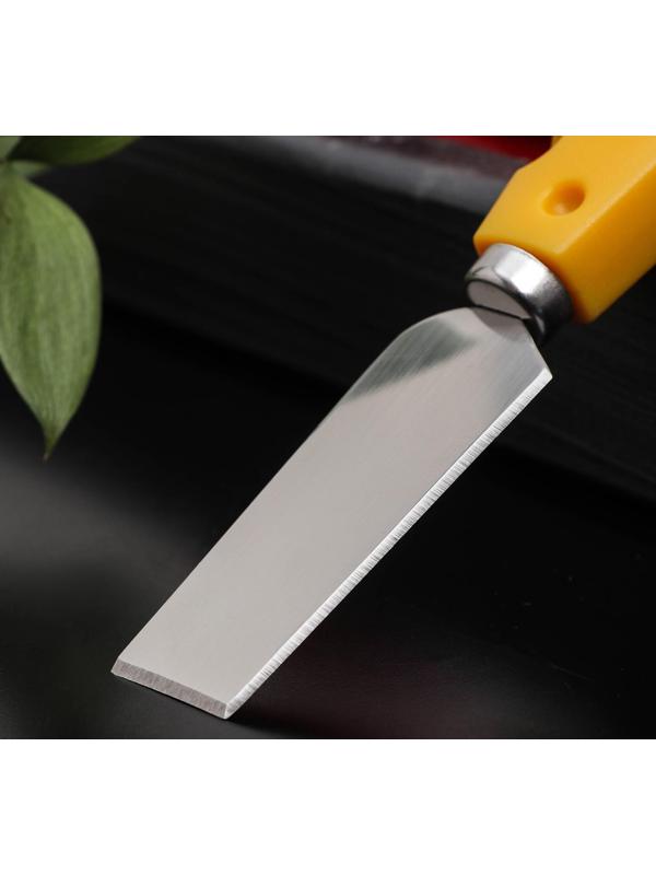 Нож для сыра Доляна Cheese, 19 см, цвет жёлтый