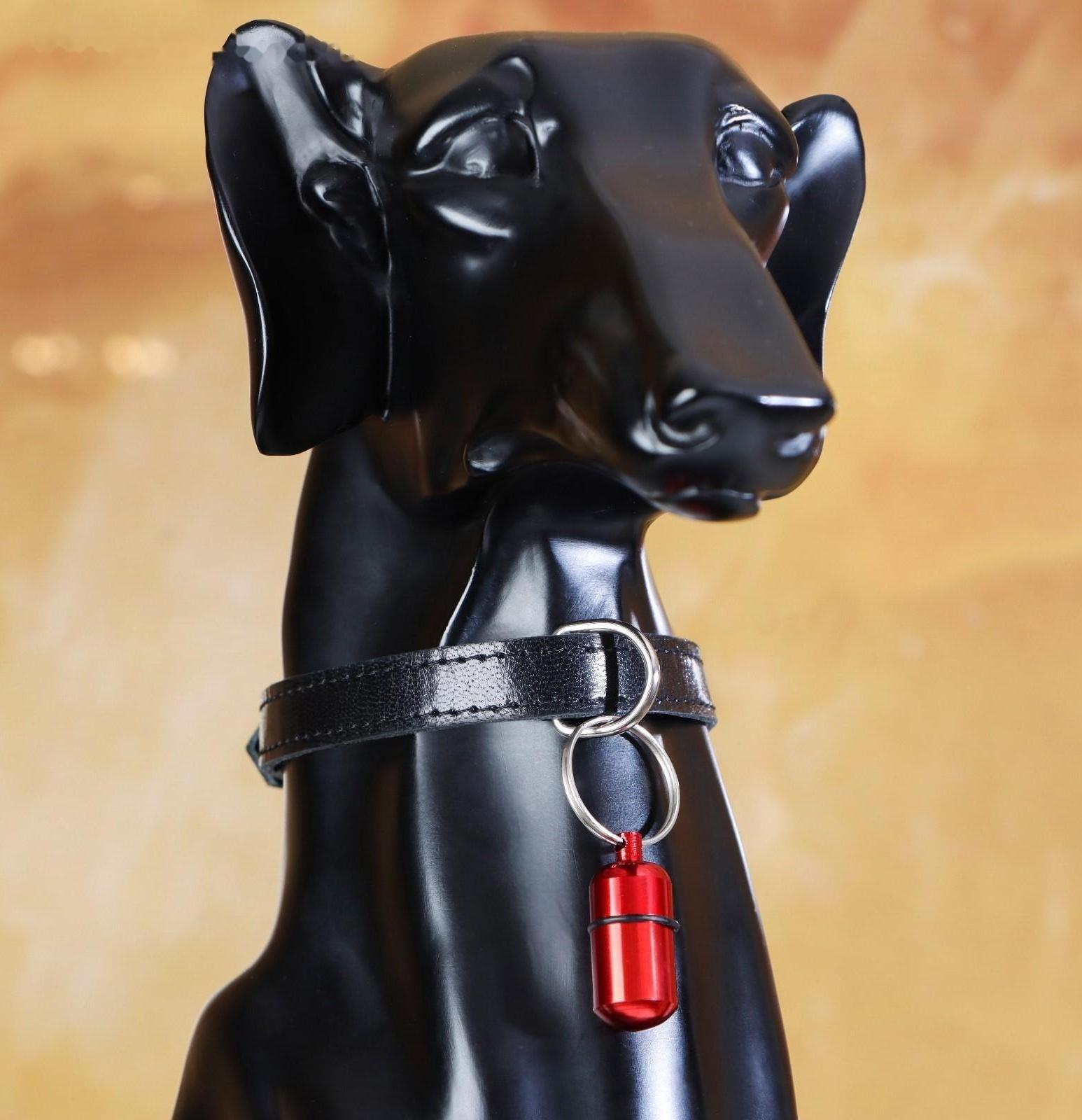 Адресник-капсула для вложения записки широкий, капсула 2,2 х 1,3 см, бордовый