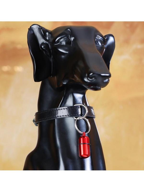 Адресник-капсула для вложения записки широкий, капсула 2,2 х 1,3 см, бордовый