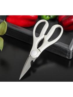 Ножницы кухонные Доляна «Ринго», цвет МИКС