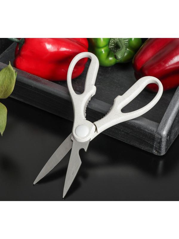 Ножницы кухонные Доляна «Ринго», цвет МИКС