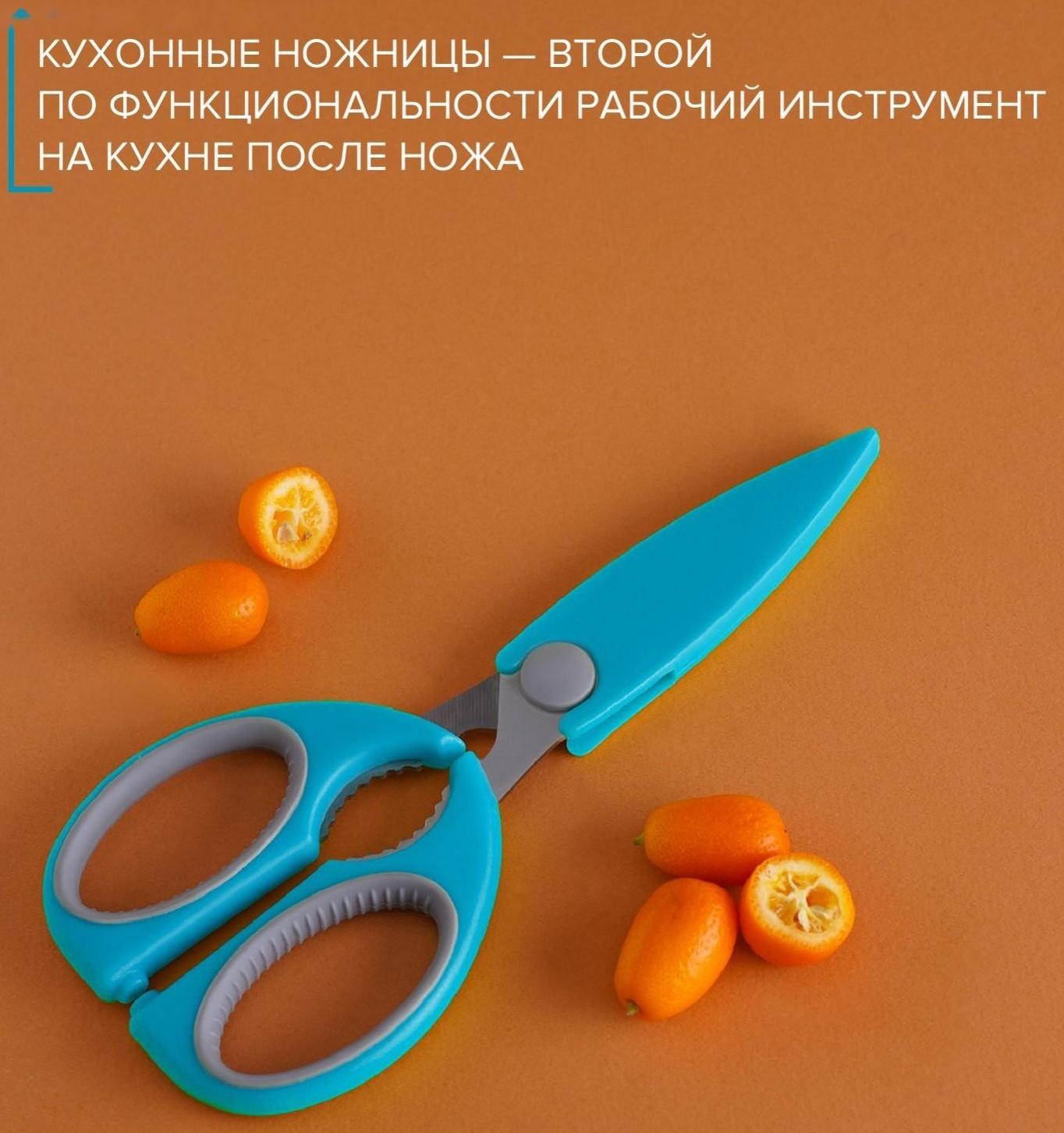 Ножницы кухонные Доляна «Эльба», 22 см, цвет голубой