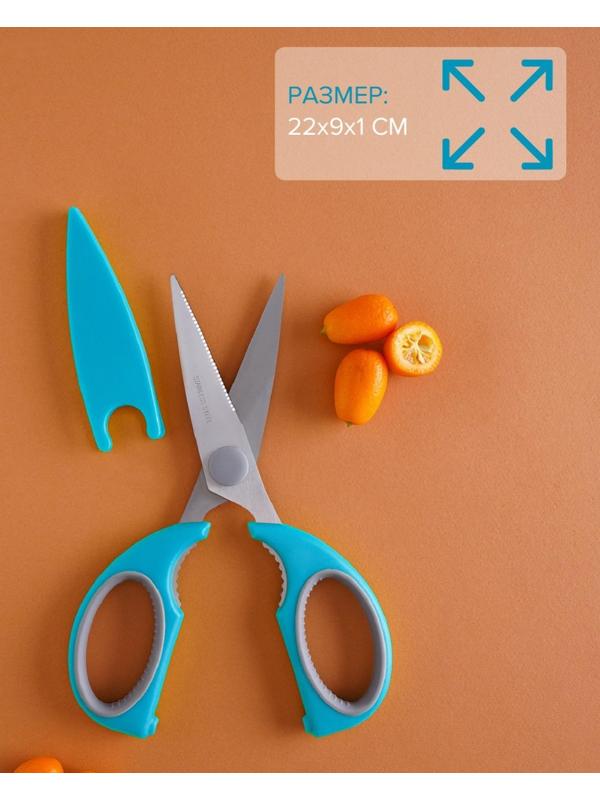 Ножницы кухонные Доляна «Эльба», 22 см, цвет голубой