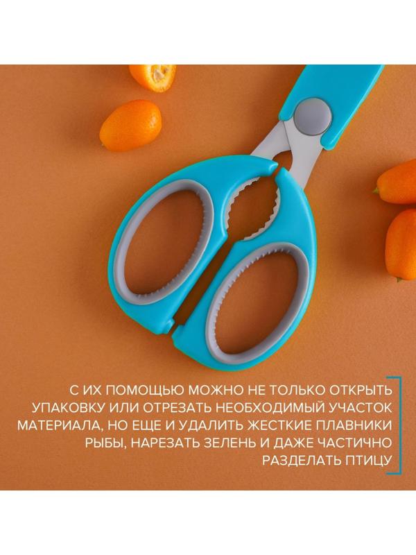 Ножницы кухонные Доляна «Эльба», 22 см, цвет голубой