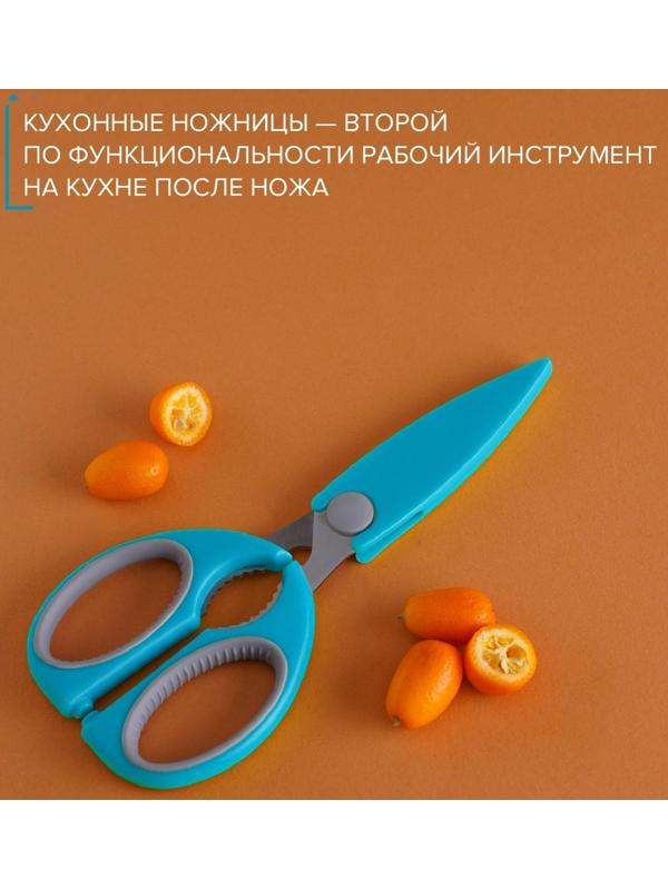 Ножницы кухонные Доляна «Эльба», 22 см, цвет голубой