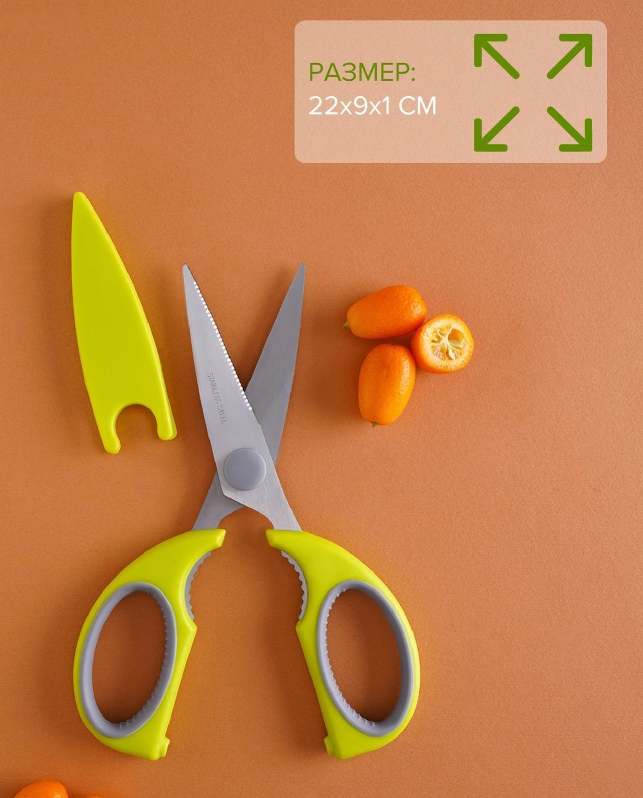 Ножницы кухонные Доляна «Эльба», 22 см, цвет зелёный