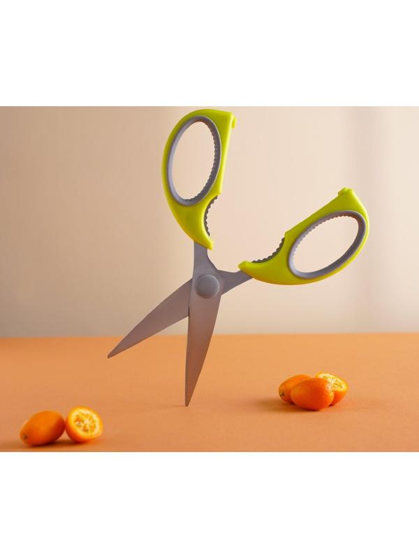 Ножницы кухонные Доляна «Эльба», 22 см, цвет зелёный