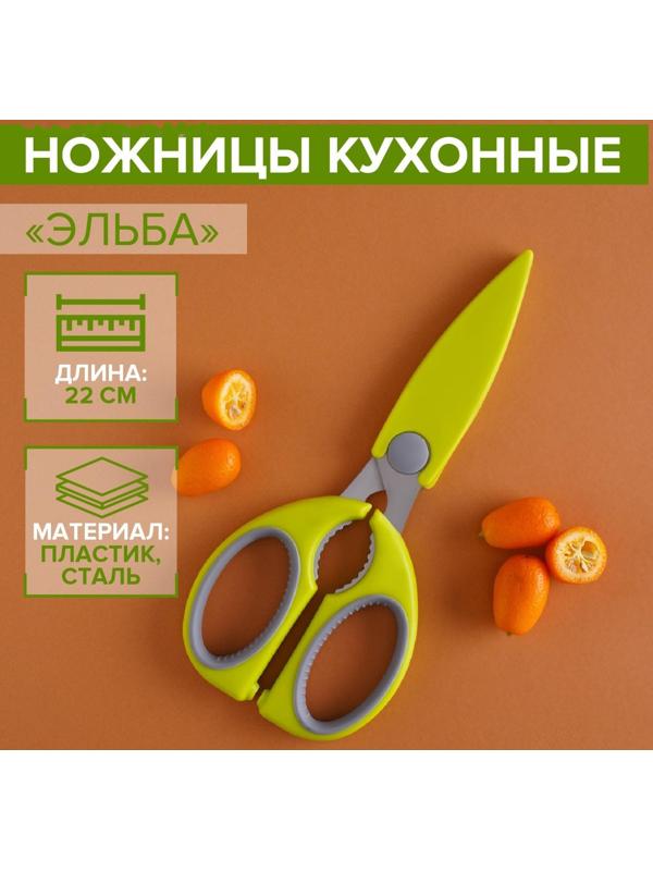 Ножницы кухонные Доляна «Эльба», 22 см, цвет зелёный
