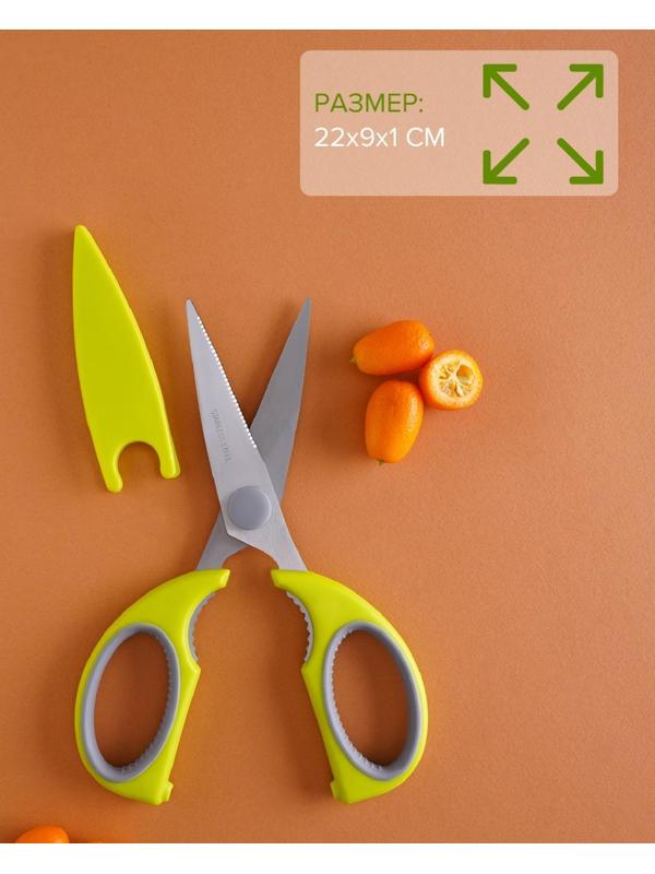 Ножницы кухонные Доляна «Эльба», 22 см, цвет зелёный