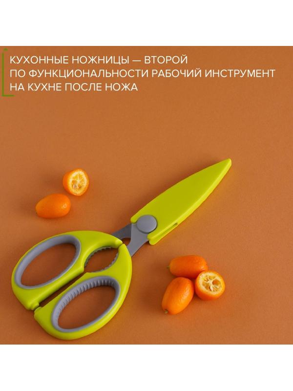 Ножницы кухонные Доляна «Эльба», 22 см, цвет зелёный
