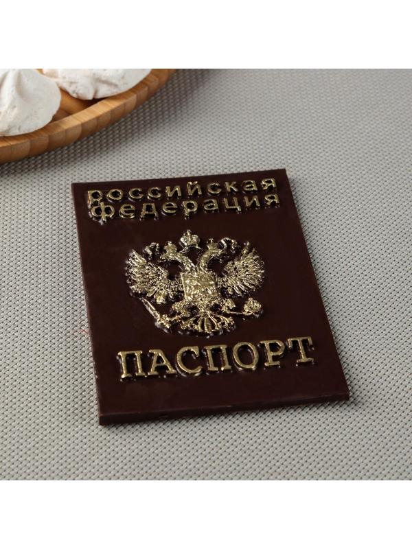 Силиконовая форма «Паспорт», 12×9 см, цвет прозрачный