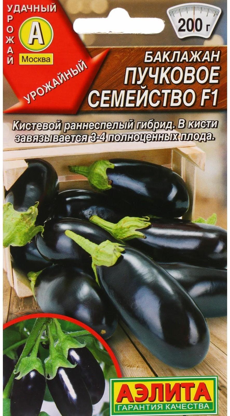 Семена Баклажан 