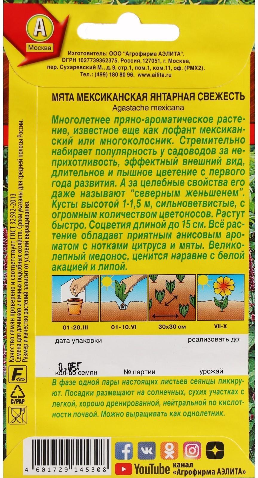 Семена Мята мексиканская 