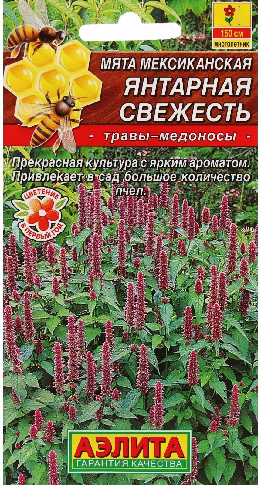 Семена Мята мексиканская 