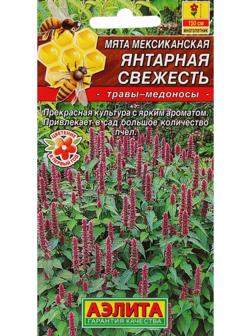 Семена Мята мексиканская 