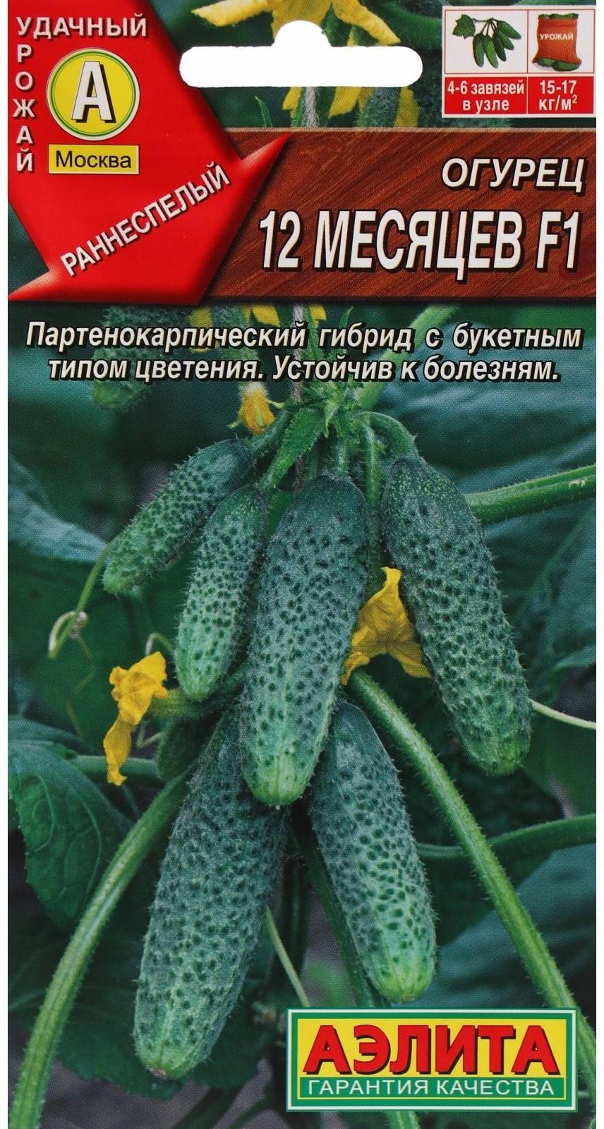 Семена огурца 