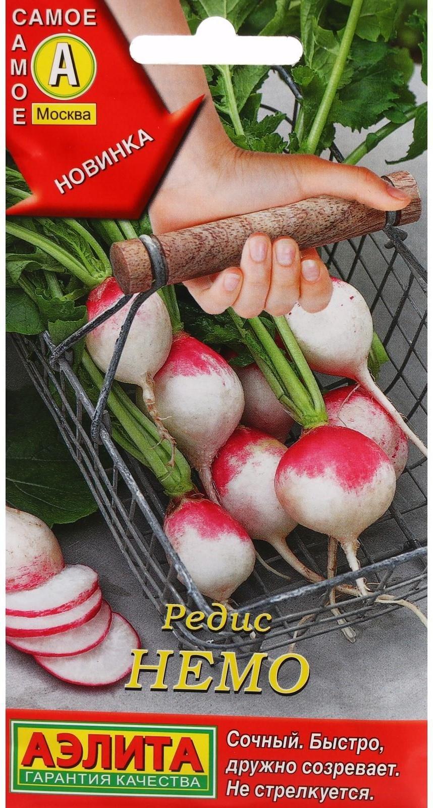 Семена Редис 