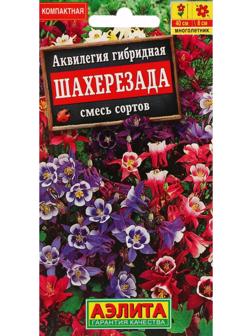 Семена цветов Аквилегия 