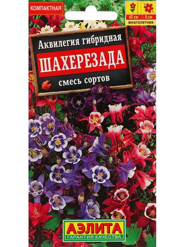 Семена цветов Аквилегия 