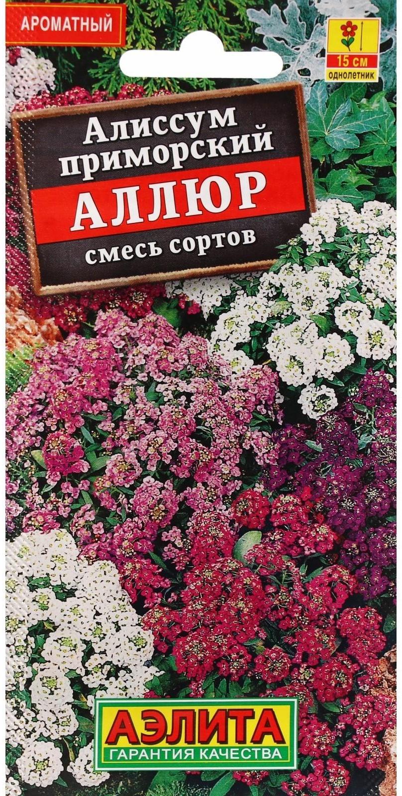 Семена Цветов Алиссум 