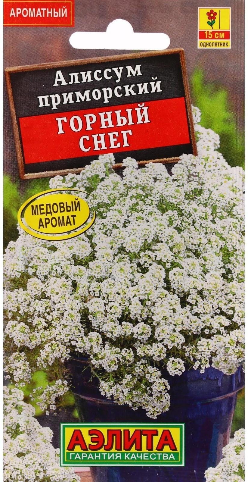 Семена Цветов Алиссум 