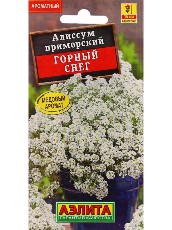 Семена Цветов Алиссум 