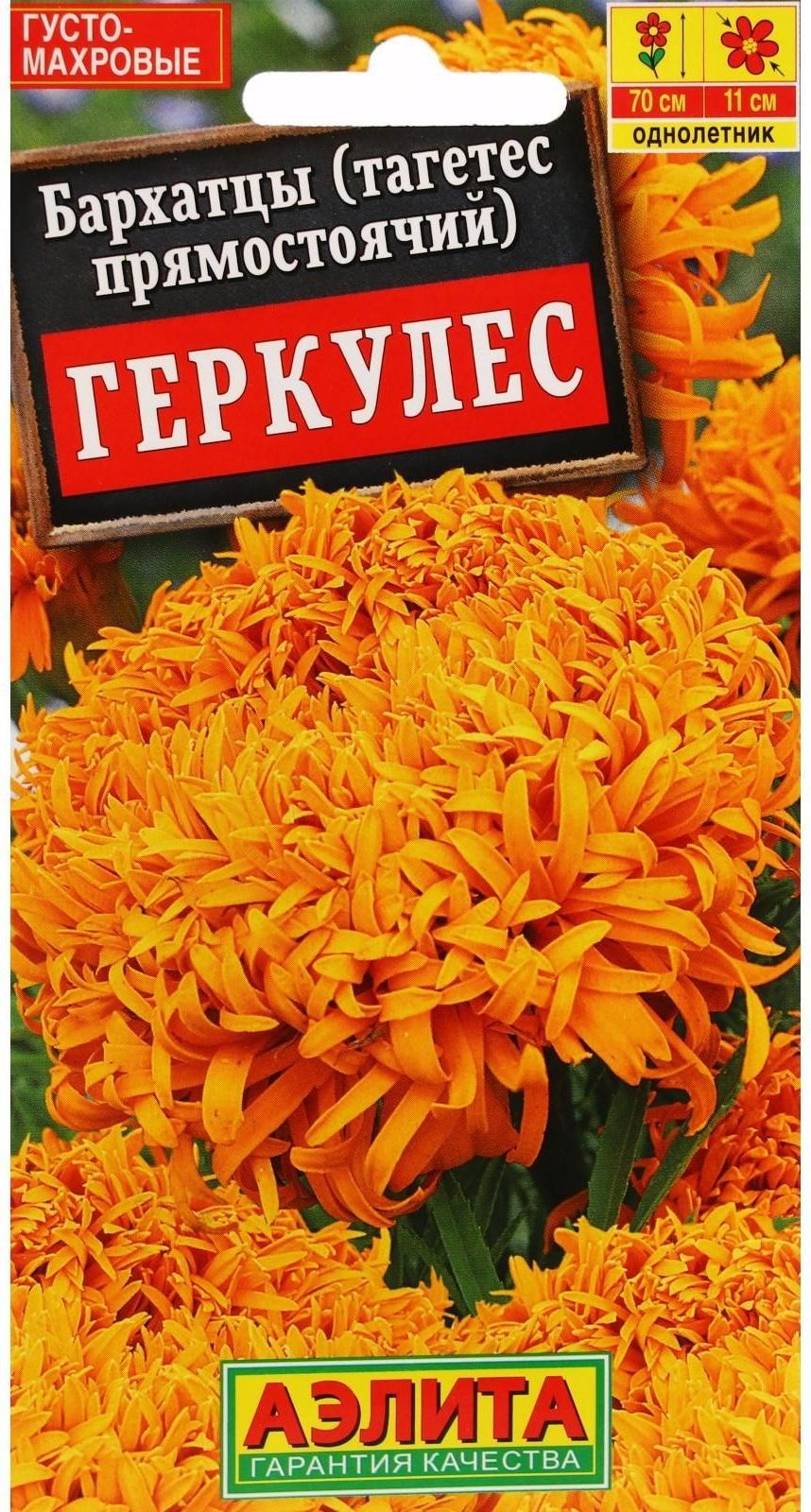 Семена Цветов Бархатцы 