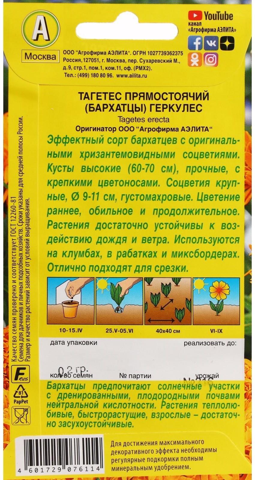 Семена Цветов Бархатцы 