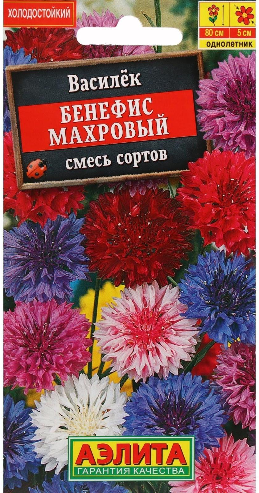 Семена цветов Василек 