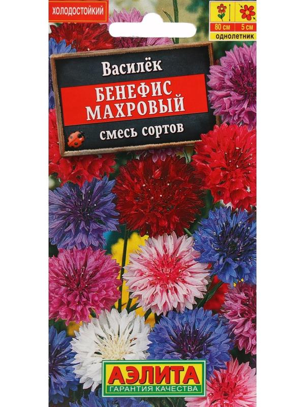 Семена цветов Василек 