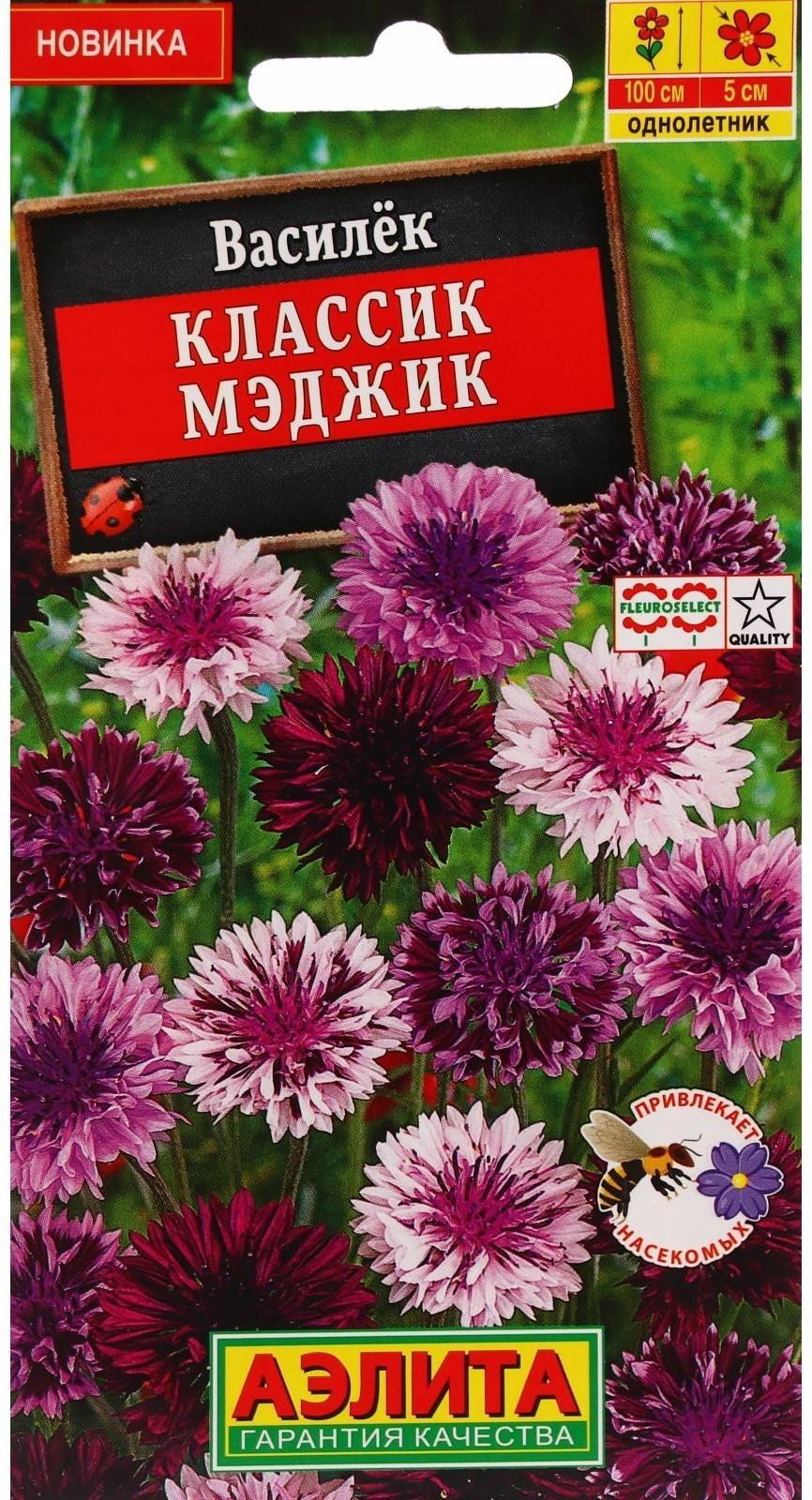 Семена цветов Василек 