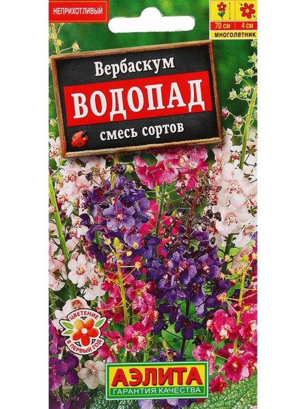 Семена цветов Вербаскум 