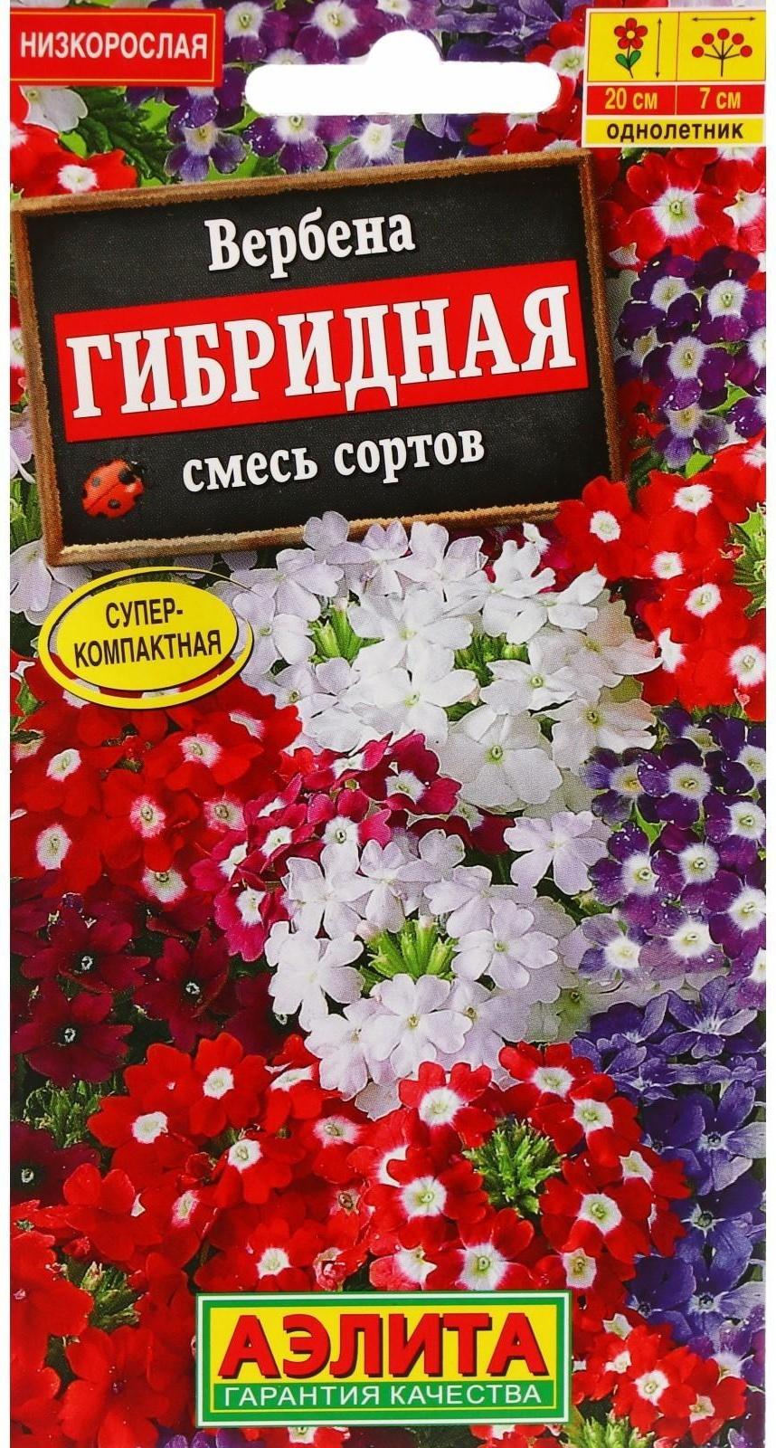 Семена Цветов Вербена 