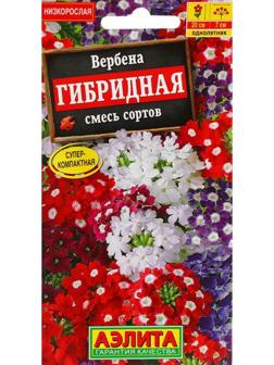 Семена Цветов Вербена 