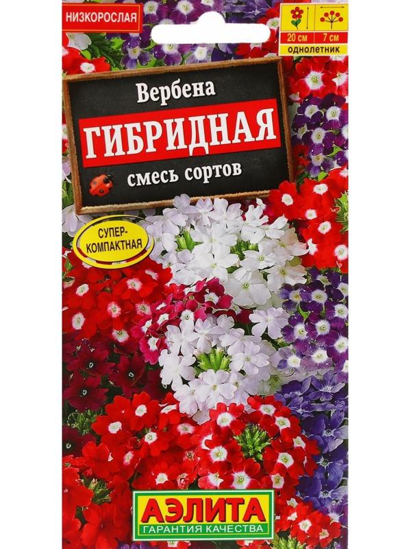 Семена Цветов Вербена 