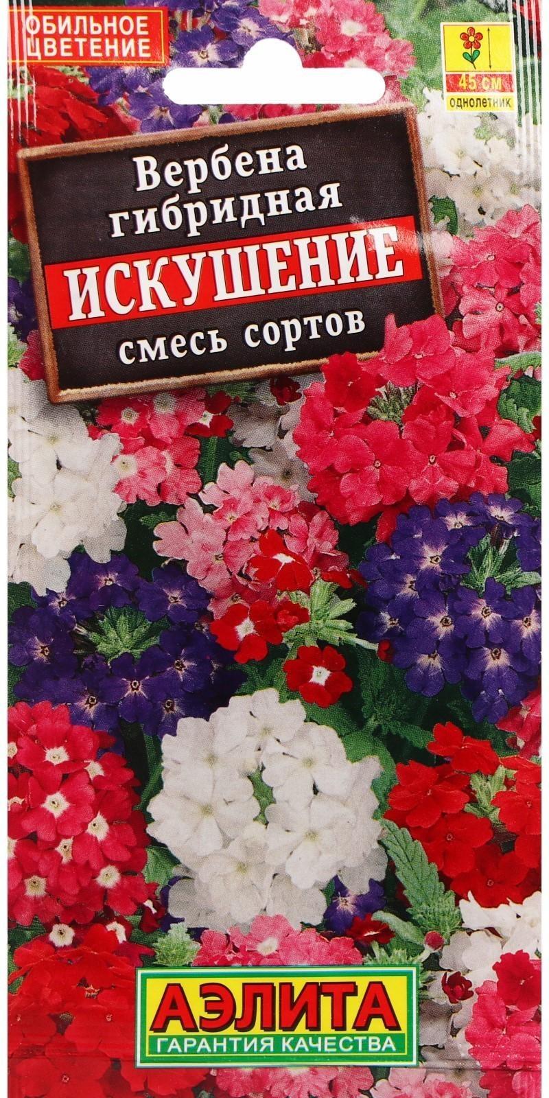 Семена Цветов Вербена 