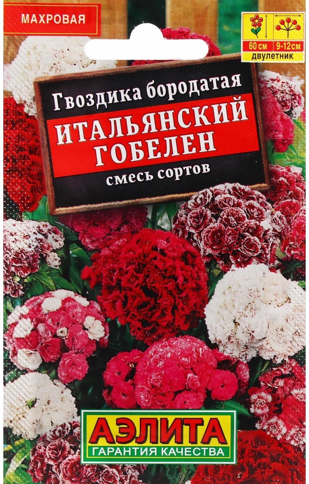 Семена Цветов Гвоздика 