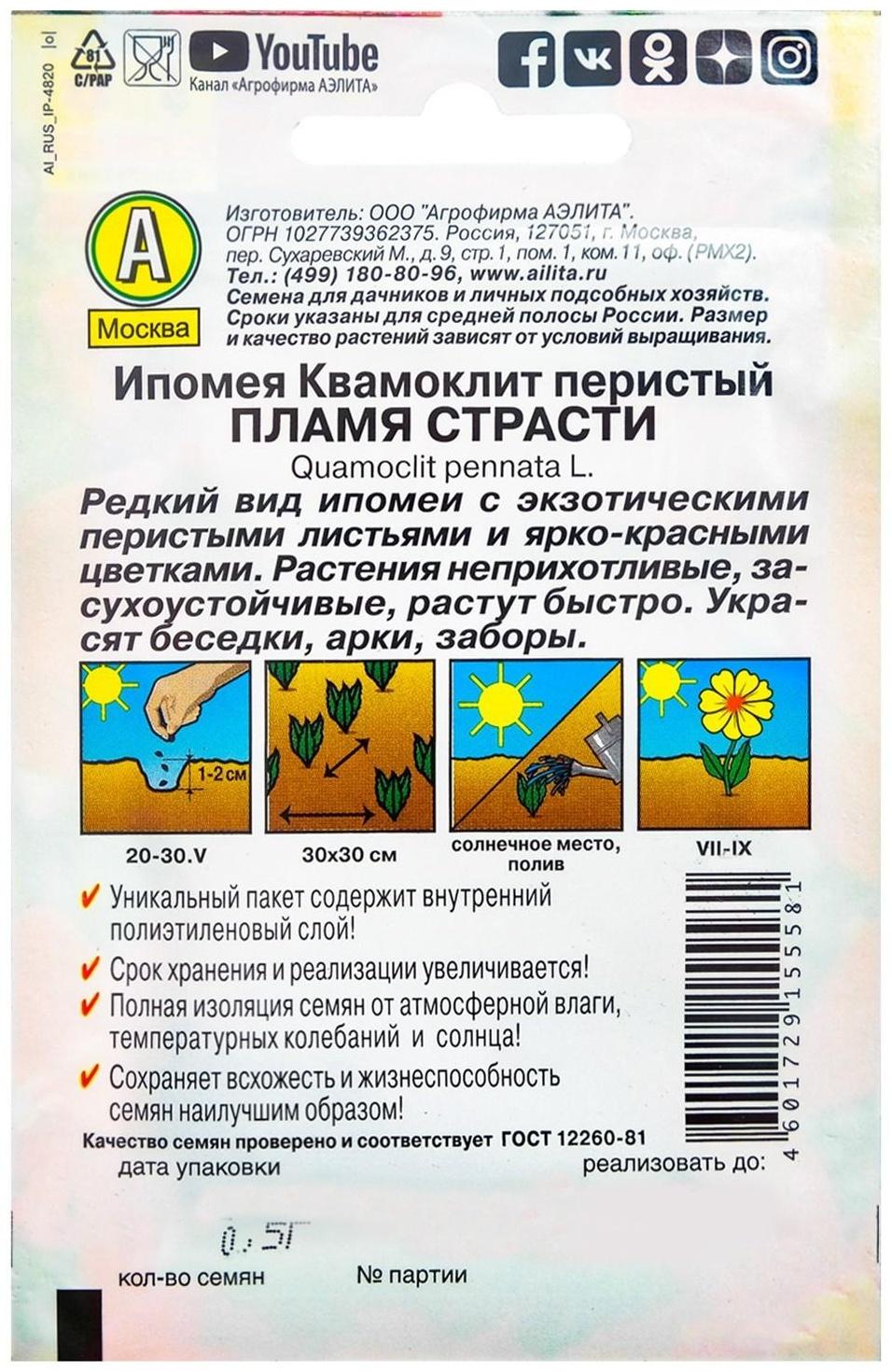 Семена Цветов Ипомея 