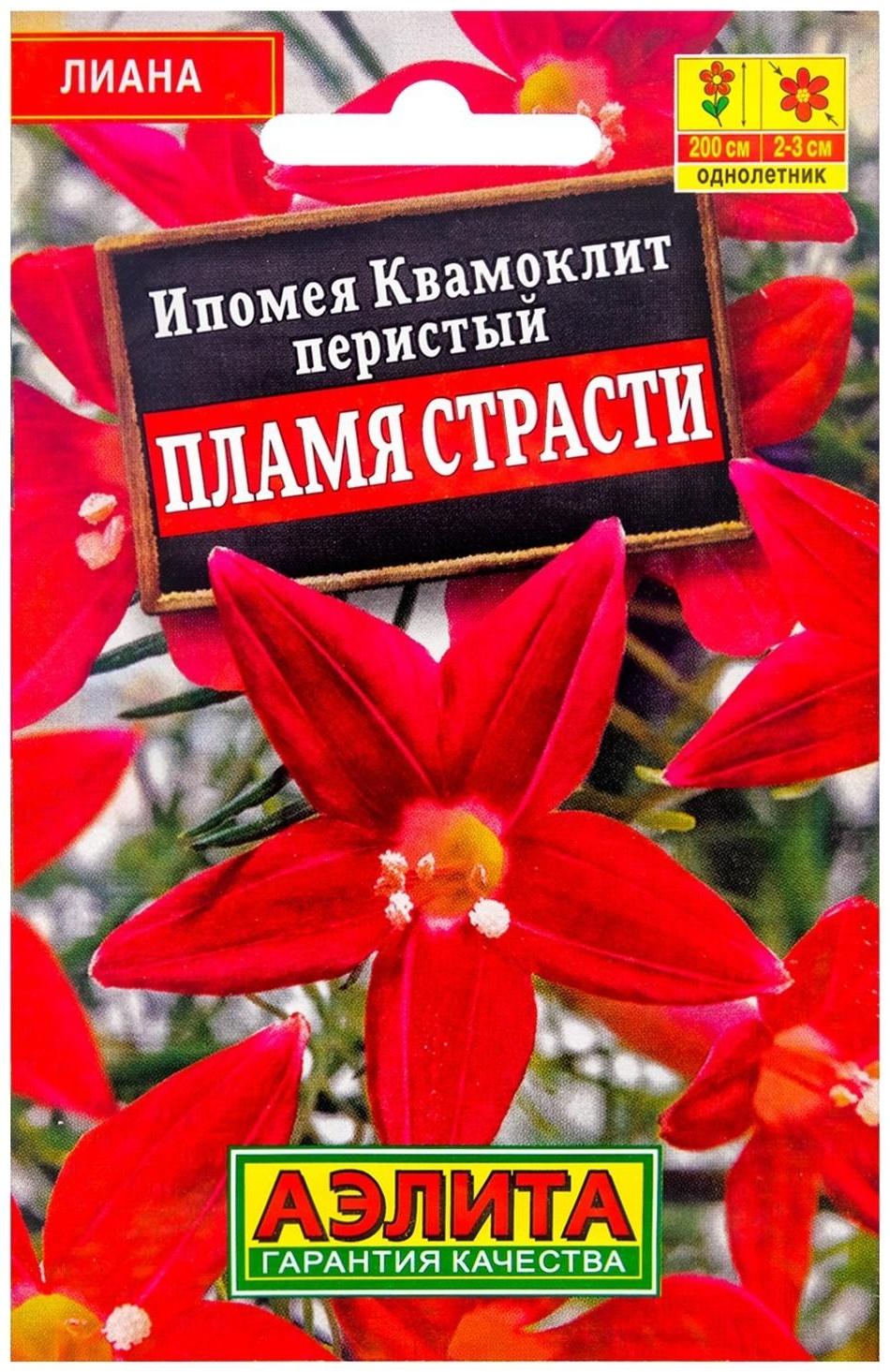 Семена Цветов Ипомея 