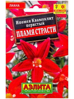 Семена Цветов Ипомея 