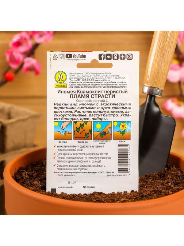 Семена Цветов Ипомея 