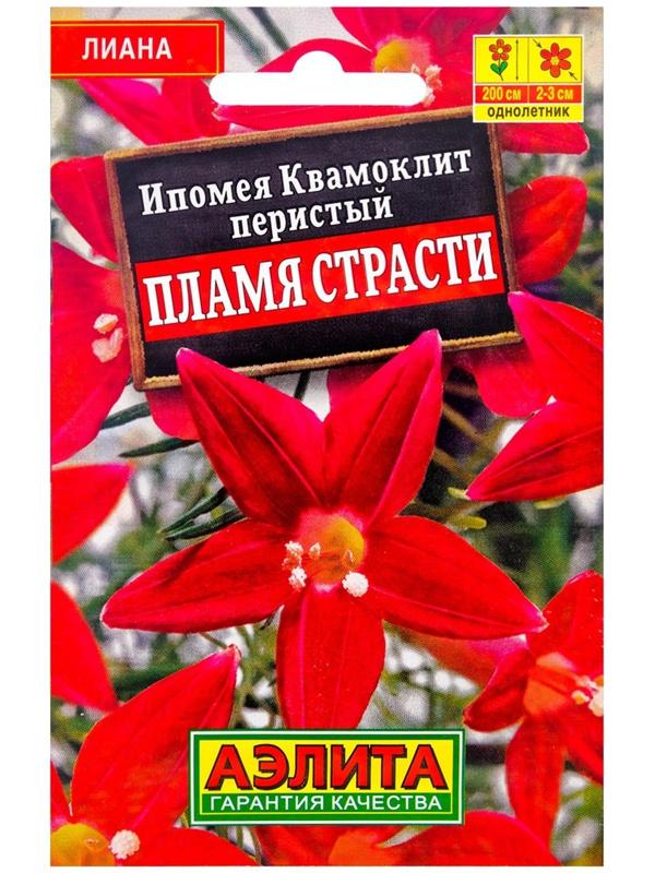 Семена Цветов Ипомея 